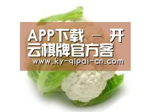 产品名称九