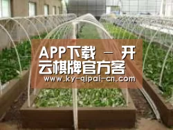 环境展示五