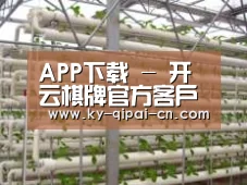 环境展示六