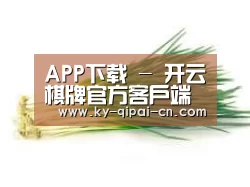 产品名称二