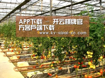 种植基地二(图1)