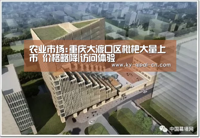 客户端安装