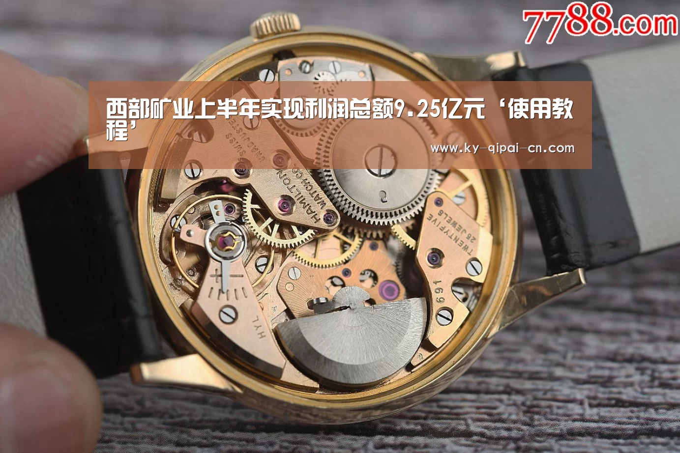 西部矿业上半年实现利润总额9.25亿元‘使用教程’(图1) 应用获取