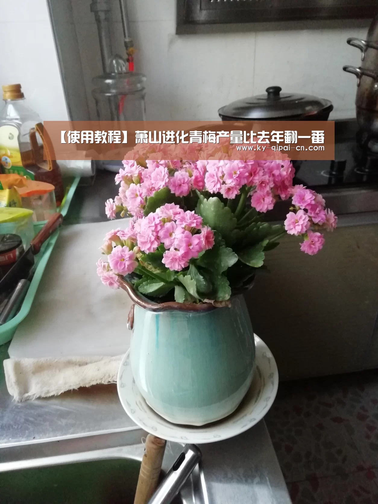 开元棋牌下载下载中心