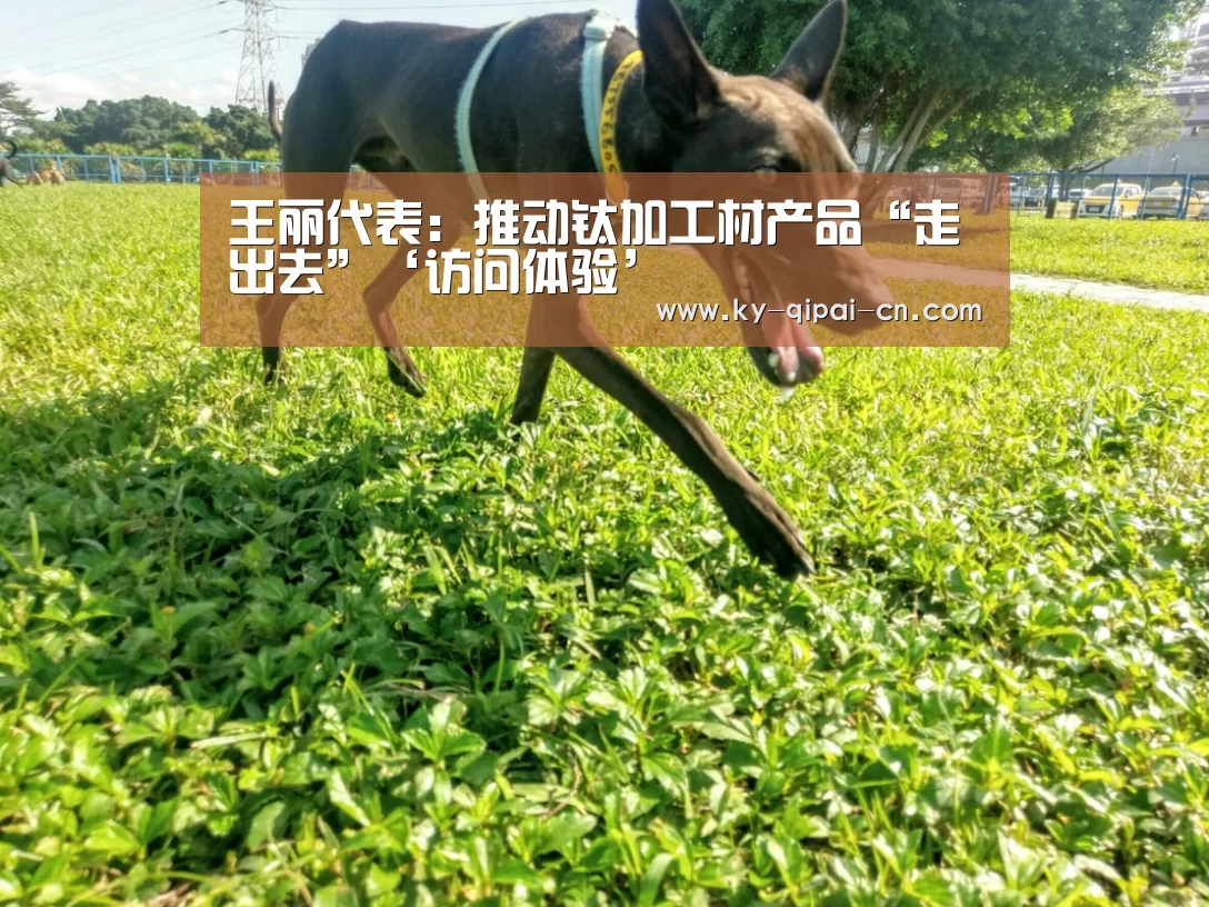 应用获取