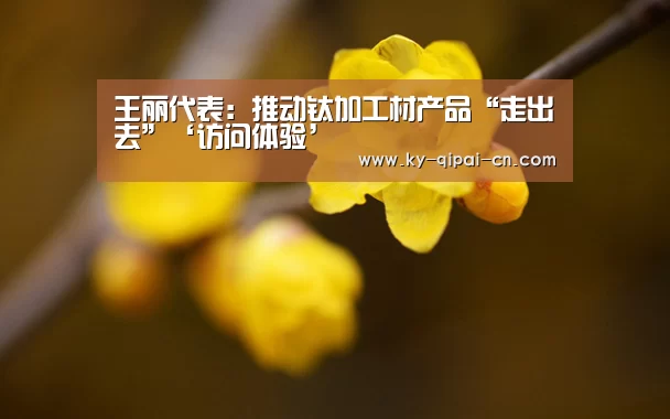 多端支持