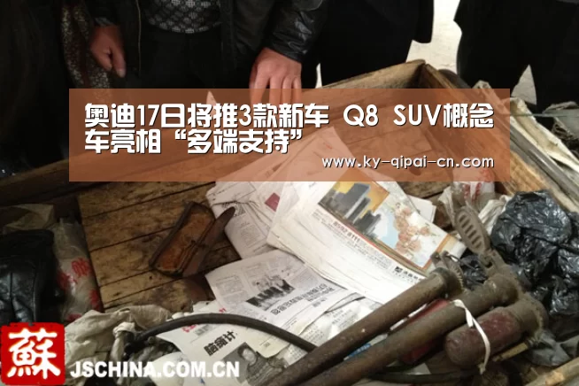 奥迪17日将推3款新车 Q8 SUV概念车亮相“多端支持”(图4) 使用教程